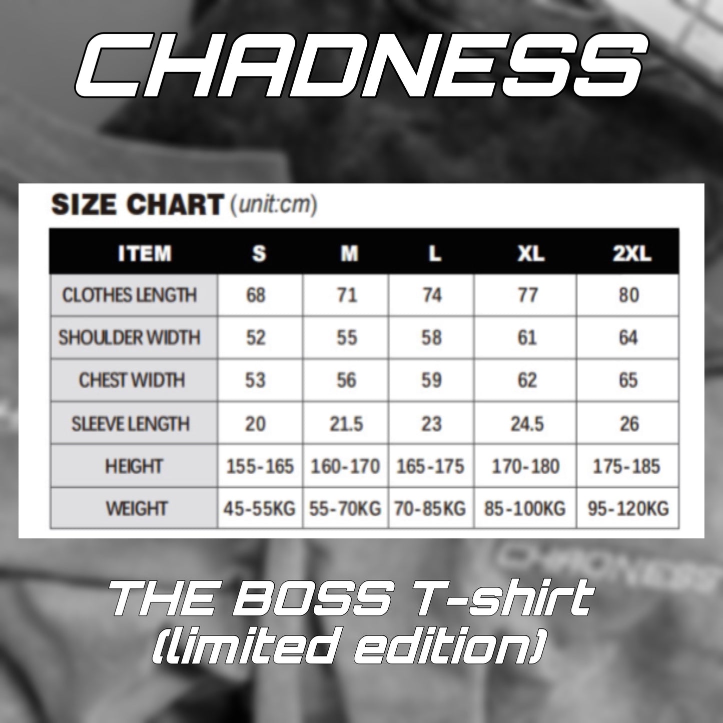 THE BOSS T-shirt oversized (LIMITED EDITION)